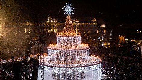 Vilniaus Katedros aikštėje įžiebta Kalėdų eglė