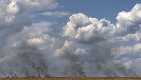 Laukai Ukrainoje