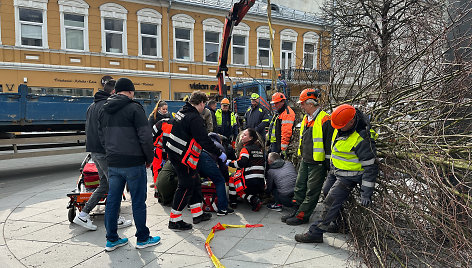 Laisvės alėjoje sodinant liepas sužalotas darbininkas