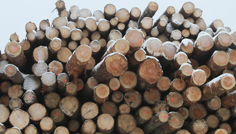 Nepalaikė net savi: Seimas atmetė korupcinėmis išvadintas medienos pardavimo taisykles