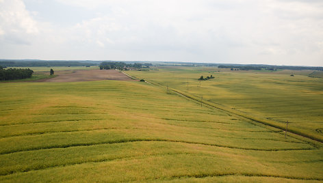 Tytuvėnų apžvalgos bokštas