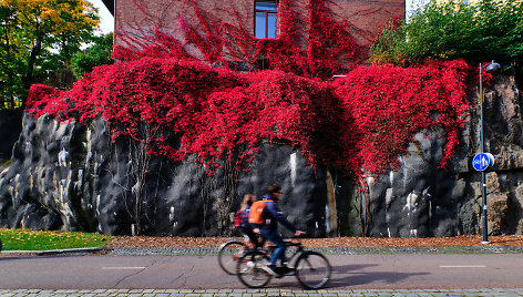 Ruduo Helsinkyje