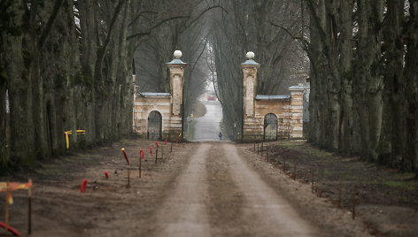 Darbai Trakų Vokės dvaro teritorijoje