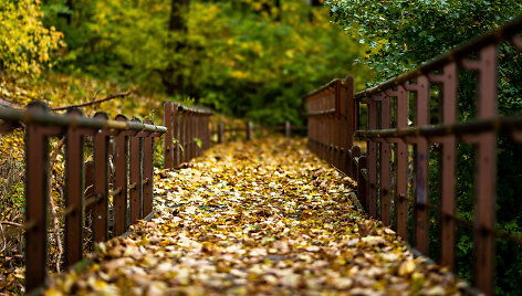 Ruduo Pavilnių regioniniame parke