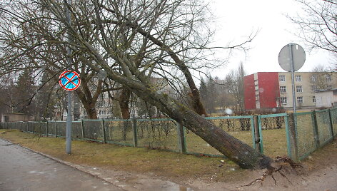 Vėtra Tel&scaron;iuose