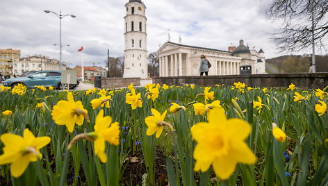 Vilnius