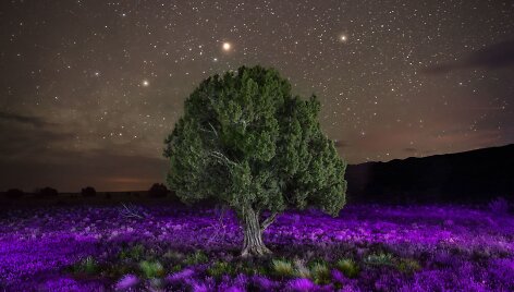 Prieblandos i&scaron;ry&scaron;kintas paslaptingas pasaulio grožis