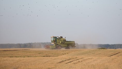 Žygimantas Gedvila/BNS nuotr.