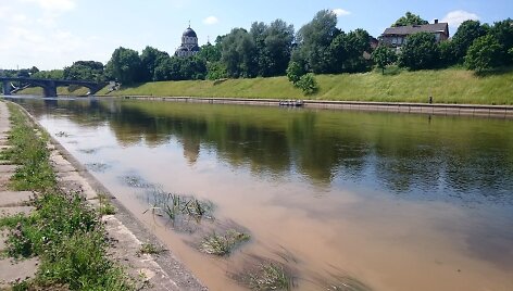 Ter&scaron;alai Neryje tiesiai prie&scaron; Seimo rūmus?