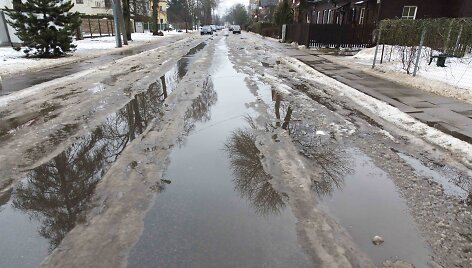 Sniegą Vilniuje keičia balos