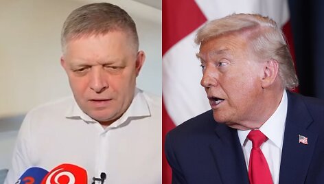 Robertas Fico, Donaldas Trumpas