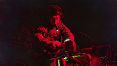 Ukrainos karys