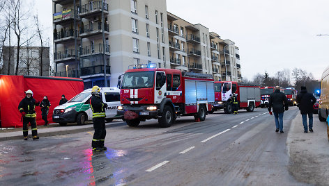 Tęsiami gesinimo darbai daubiagutyje Viršuliškėse