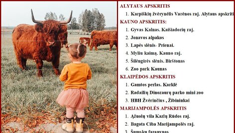 Gyvūnų ūkiai, kuriuos verta aplankyti dar &scaron;į rudenį