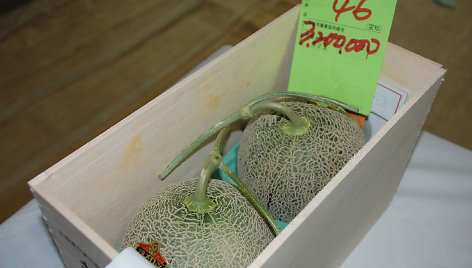 Šie melionai buvo parduoti už rekordinę 3,2 mln. jenų (25 tūkst. eurų) sumą.