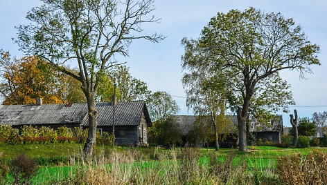 Žybartų kaimas (Radviliškio r.)