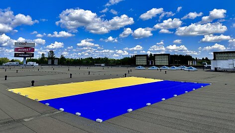 Ukrainos vėliava