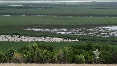 Milžini&scaron;ki i&scaron;džiūvusio Kachovkos tvenkinio plotai virto pievomis.