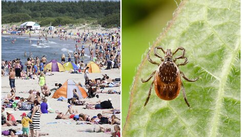 Erkių pavojus &ndash; ir poilsiaujantiems prie jūros