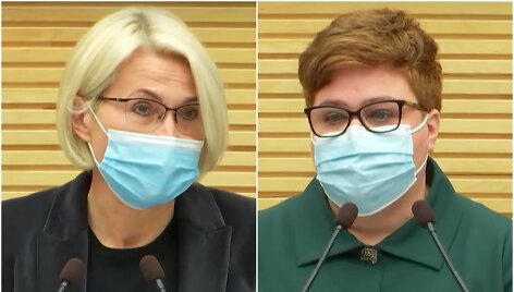 Dalia Vi&scaron;inskienė ir Jūratė Varanauskaitė Seime
