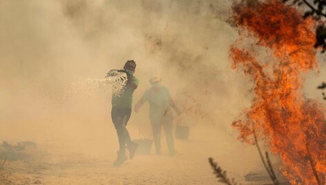 Gaisras Portugalijoje / PATRICIA DE MELO MOREIRA / AFP