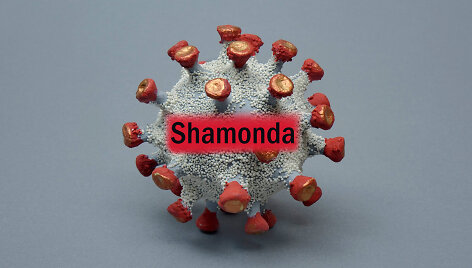 &bdquo;Shamonda&ldquo; virusas/ Iliustratyvinė nuotr.