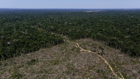 Sunki Brazilijos kova su nelegaliai kertamais miškais Amazonės džiunglėse