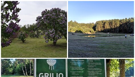 Vietos piknikui Vilniuje
