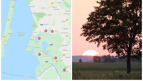 Kur rasti meldinę nendrinukę
