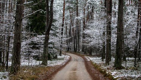 Lengva sniego paklotė apdengė Neries regioninį parką