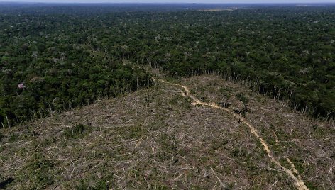 Bruno Kelly / REUTERS