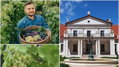 Didžiausias Lietuvos vynuogynas be žado palieka net užsieniečius