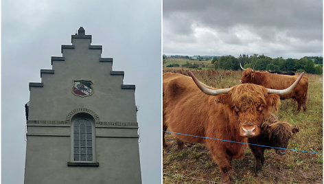 Lankytini objektai Alytaus rajone