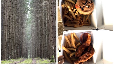 Paliesiaus dvaro pažintinis sveikatingumo takas ir &bdquo;Forest Grill&ldquo;