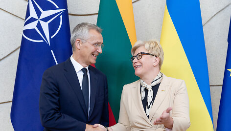 Ingrida &Scaron;imonytė, Jensas Stoltenbergas
