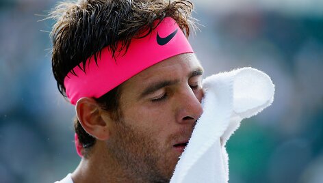 Juan Martin del Potro