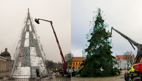Puo&scaron;iamos Vilniaus ir Kauno eglės