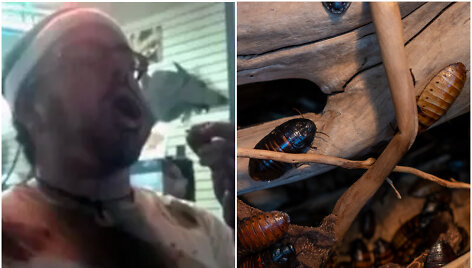 Tarakonų valgymas 32-ejų vyrui baigėsi tragi&scaron;kai