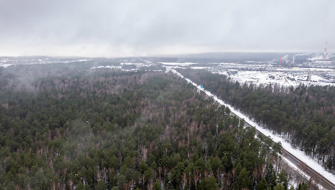 Miškas Panerių seniūnijoje, kurį norima paversti žvyro ir smėlio karjeru