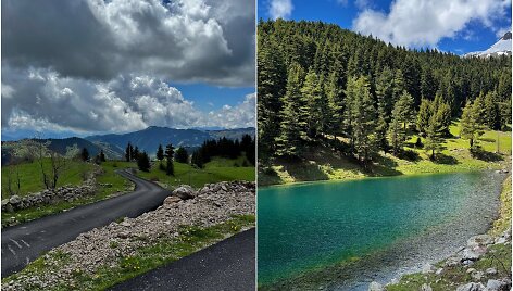 Artvinas, Turkija
