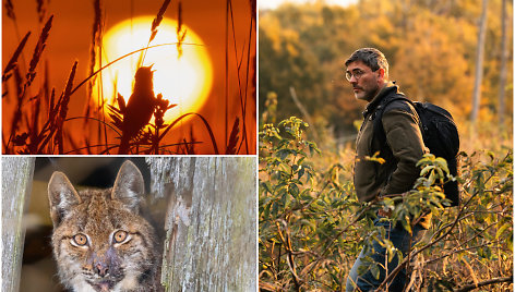 Gamtininko Mariaus Čepulio fotografijos