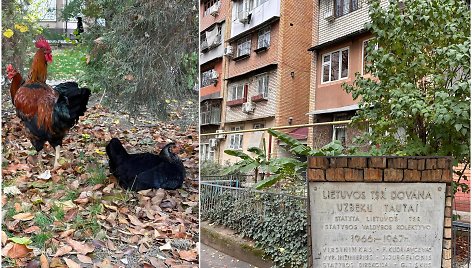 Lietuvių statyti namai Taškente