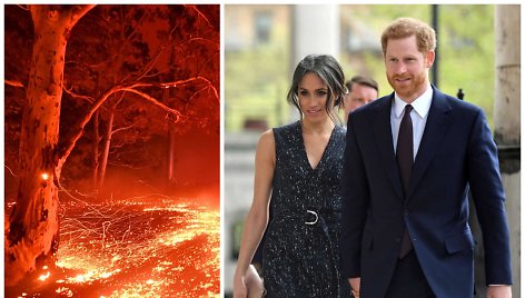 Miškų gaisrai Australijoje, Meghan Markle, princas Harry