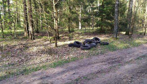 Šveicarijos seniūnijos miškuose aptiktas šiukšlynas