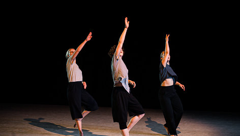 Audros akis. Eye of the Storm. Šeiko šokio teatras