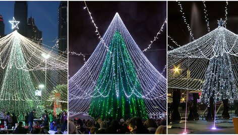 Dubajaus, Vilniaus ir Bogotos Kalėdų eglės