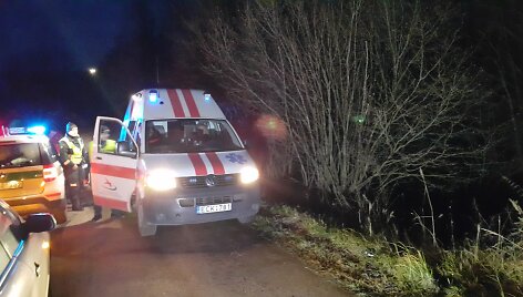 Vilkų kampo kaime nuo kelio nulėkė BMW