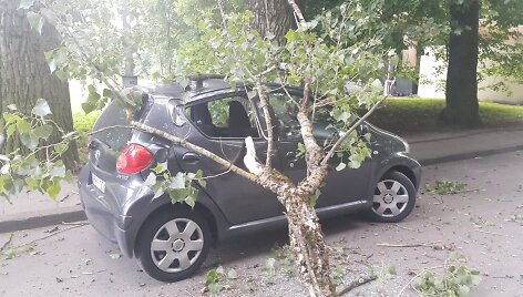 Įvykio vietoje