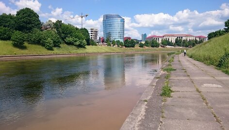 Ter&scaron;alai Neryje tiesiai prie&scaron; Seimo rūmus?