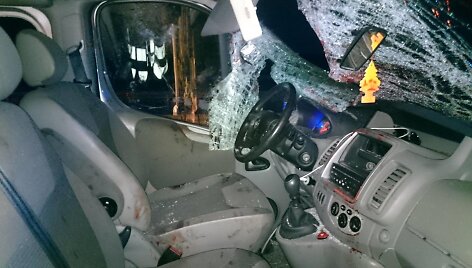 Avarija &Scaron;iauliuose. Kelią pastojo briedis